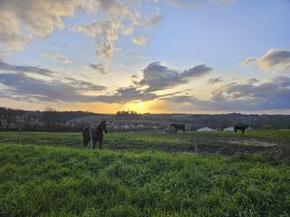  Terrain  vendre 6905 m