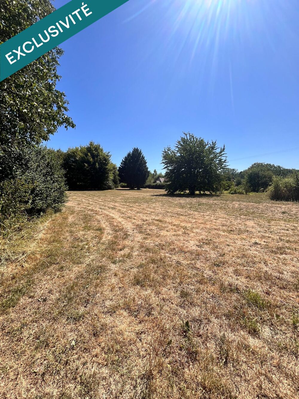 Vente Maison Élégante propriété en pierre rénovée avec piscine et parc arboré de 6 263 m² Neublans-abergement