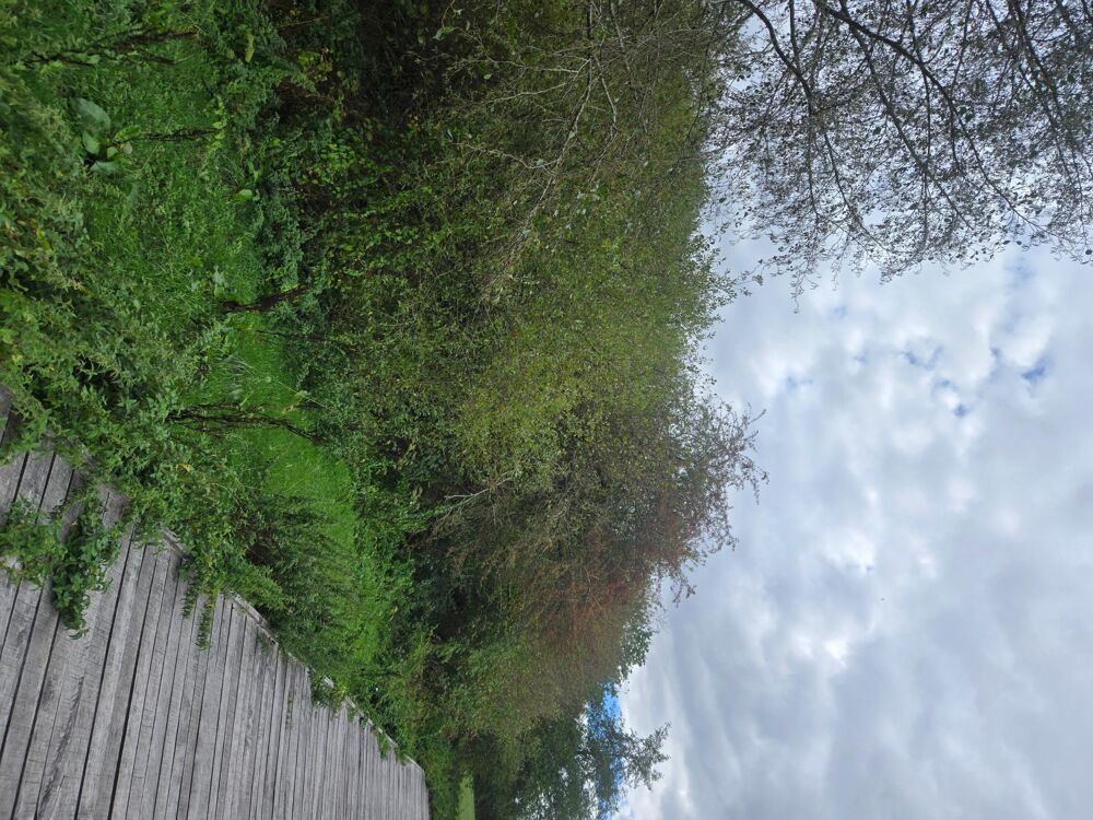 Vente Terrain au calme Pre-en-pail-saint-samson