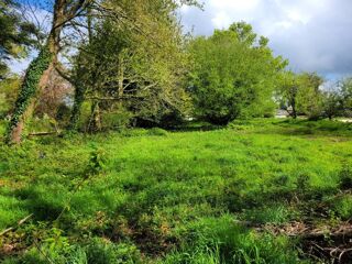  Terrain à vendre 1000 m²
