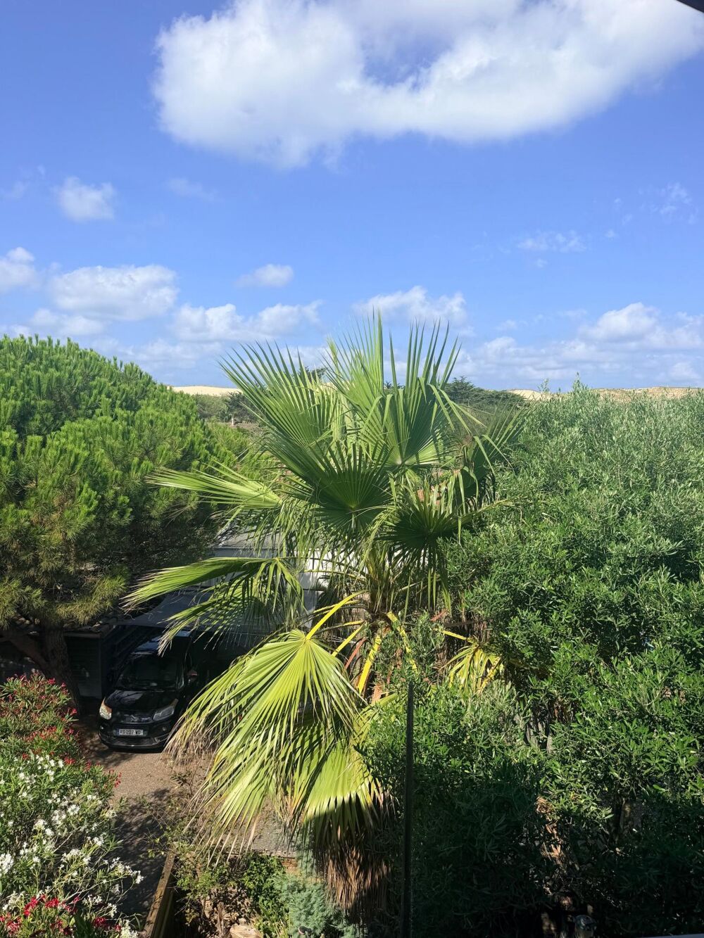 CAP FERRET  ADRESSE D'EXCEPTION, TOUT À PIED