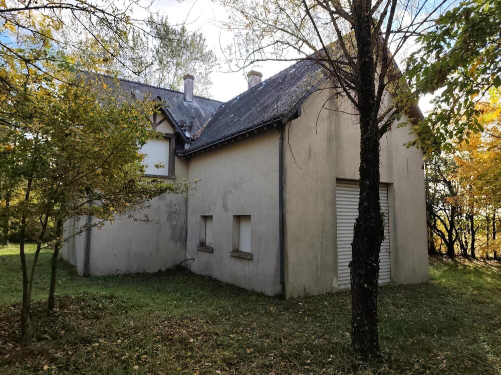 Vente Maison Maison d'architecte à rénover – 189 m² Nouans-les-fontaines
