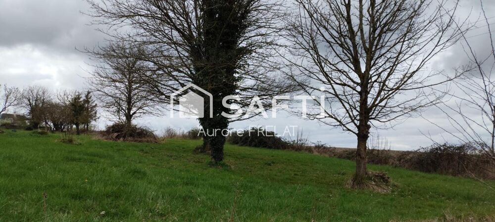 Vente Terrain Superbe terrain � b�tir Brizay