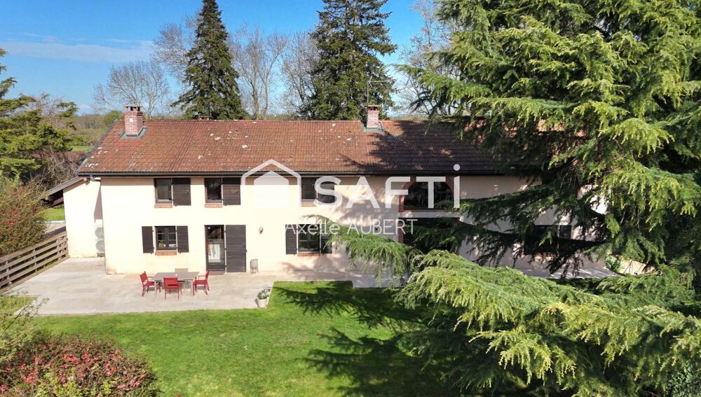 DOMAINE DE CARACTERE RARE EN DOMBES
