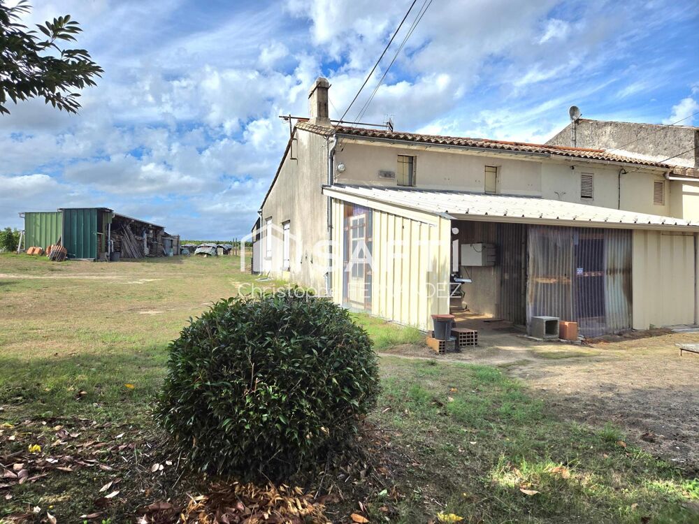 Maison en pierre, dépendance, grand terrain