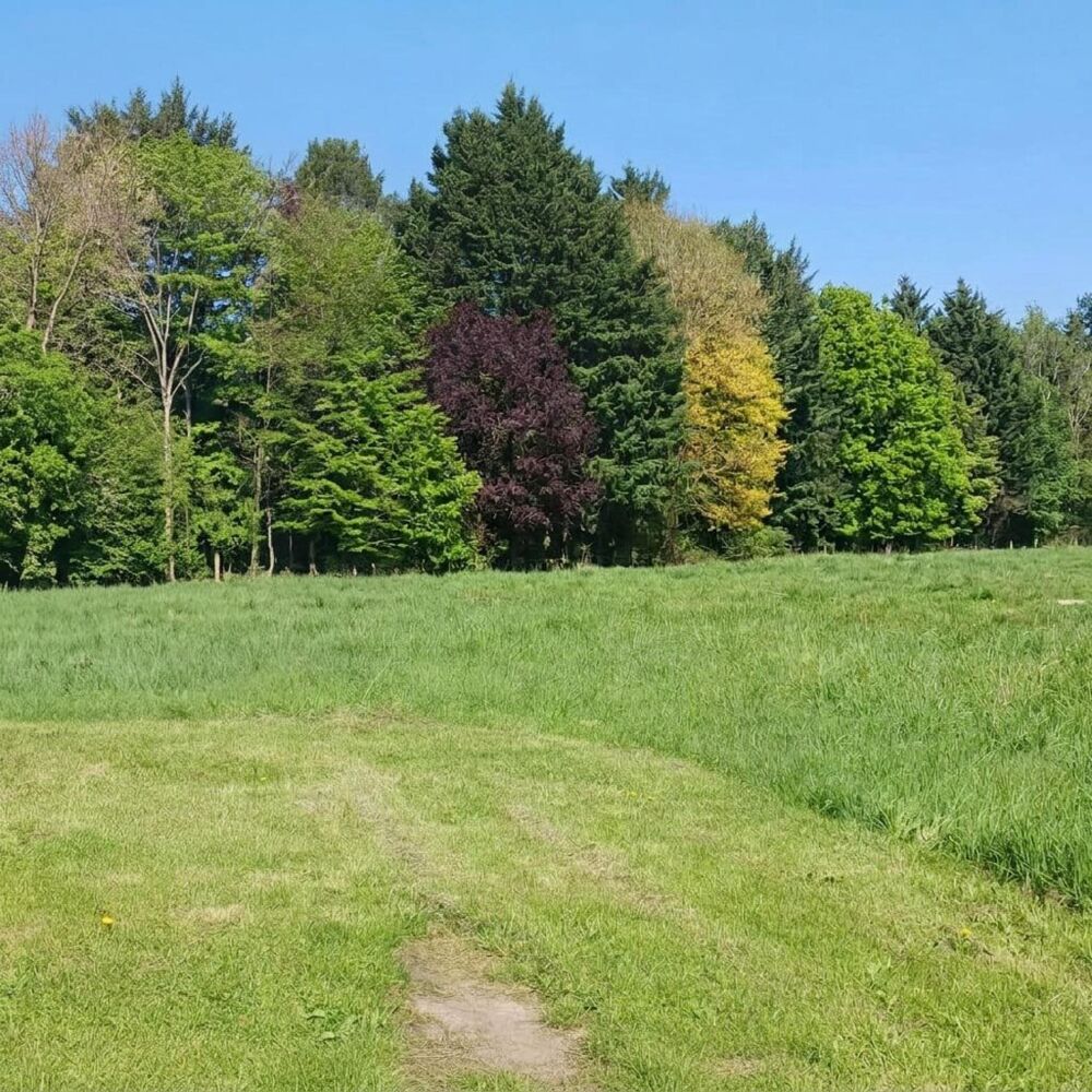 Vente Terrain Terrain à bâtir. Xirocourt