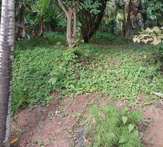  Terrain  vendre 1200 m