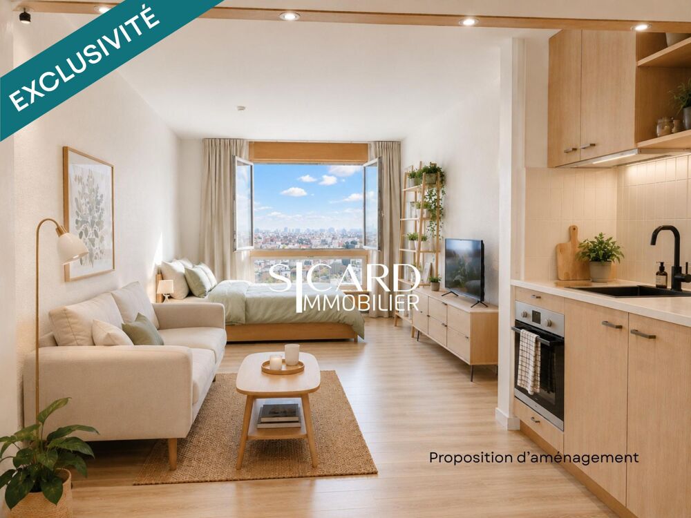 Vente Appartement Studio vue panoramique Paris Paris 15