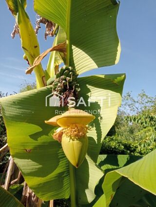  Maison � vendre 8 pi�ces 240 m�