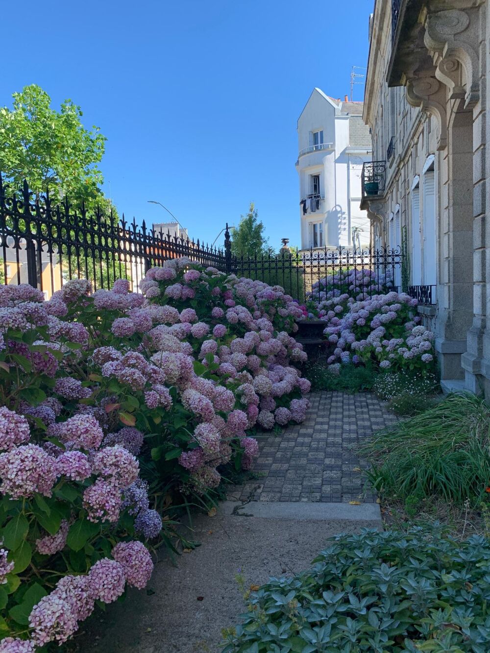 � vendre  H�tel Particulier Lorient (56100)