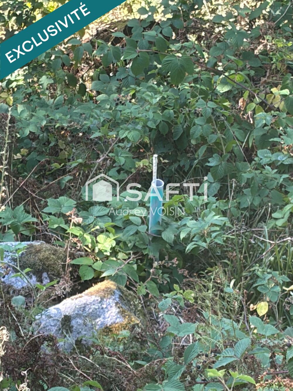 Vente Terrain EN EXCLUSIVITE UNE BELLE FORÊT DE PLUS DE 3 HECTARES Le menil