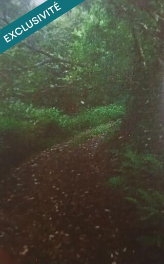  Terrain � vendre 20529 m�