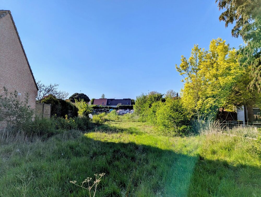 Vente Terrain Terrain de 1 250 m2 situé à ANGRES Angres