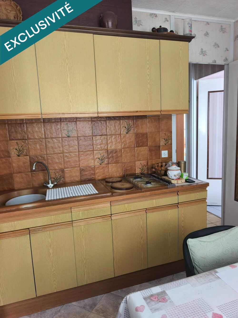 Vente Appartement GRAND T3 Bis - 82 M2 - (Idéal Primo Accèdent - Colocation ) Lyon 8