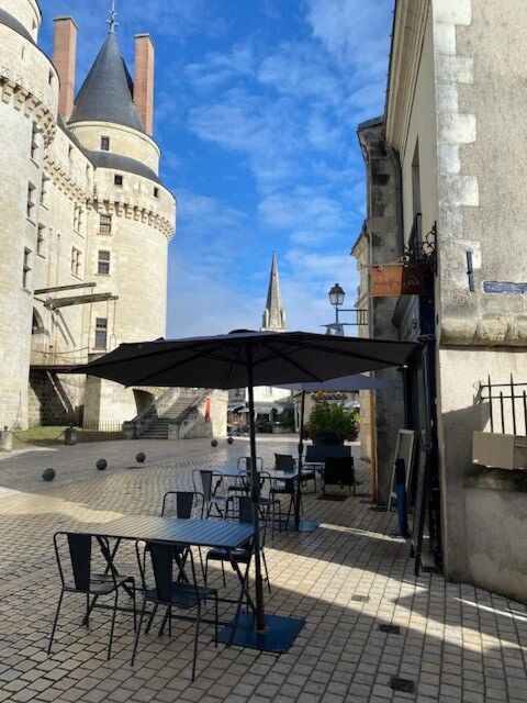 Vends fonds de commerce Langeais f&acirc;ce au ch&acirc;teau 50000 37130 Langeais