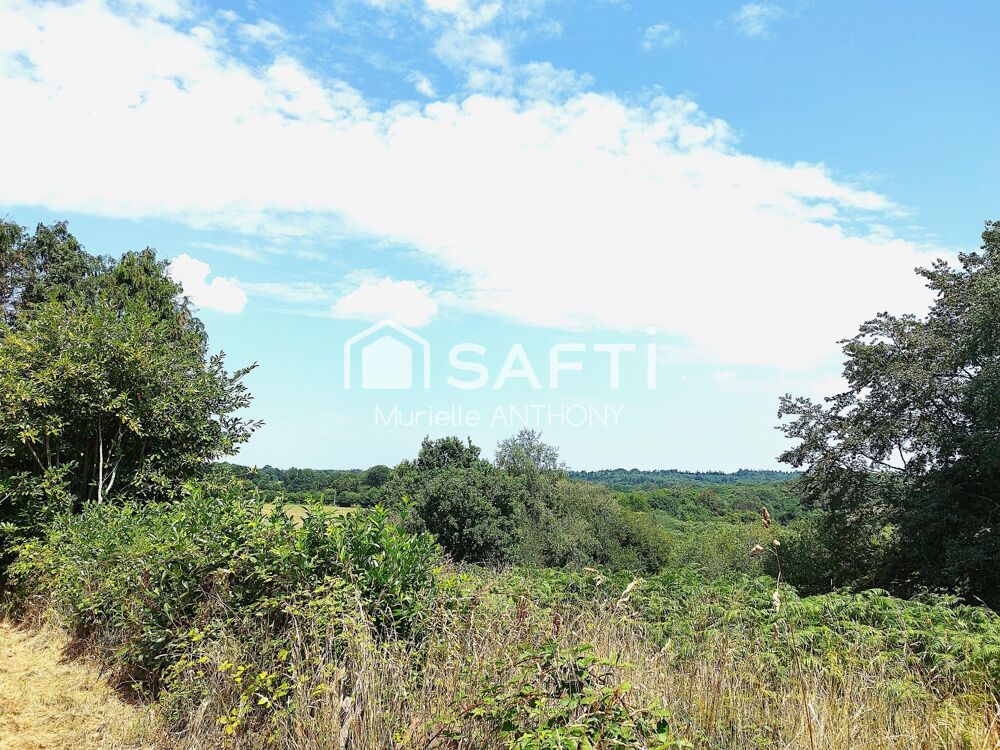 MAISON A FORT POTENTIEL DANS UN ECRIN DE VERDURE !