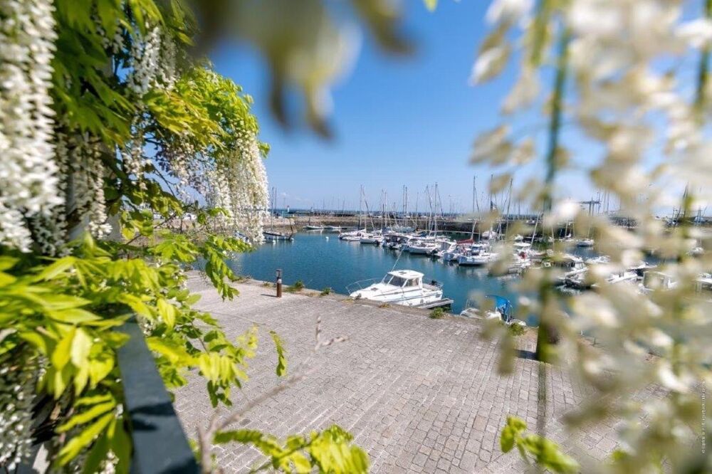 à vendre  Maison Quiberon (56170)