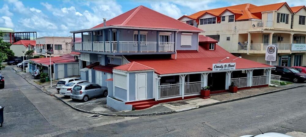 vente Immeuble - 508 m² Saint-Martin (97150)