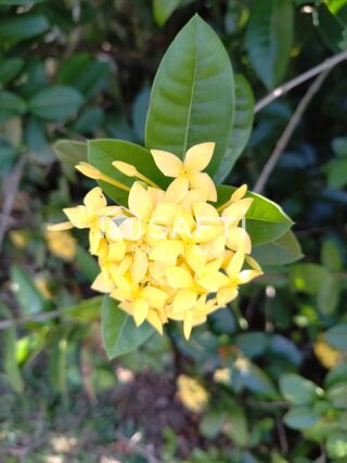  Maison � vendre 4 pi�ces 176 m�