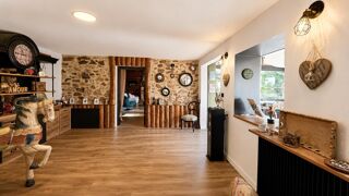  Maison à vendre 10 pièces 271 m²