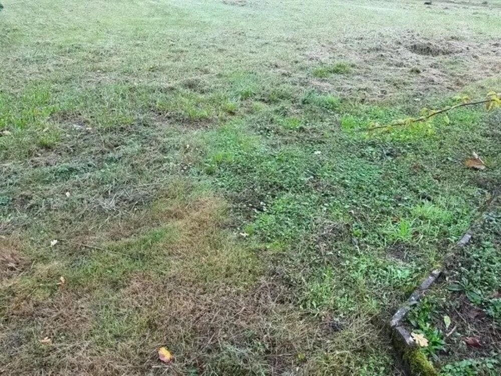 Vente Terrain A saisir très belle parcelle Cande