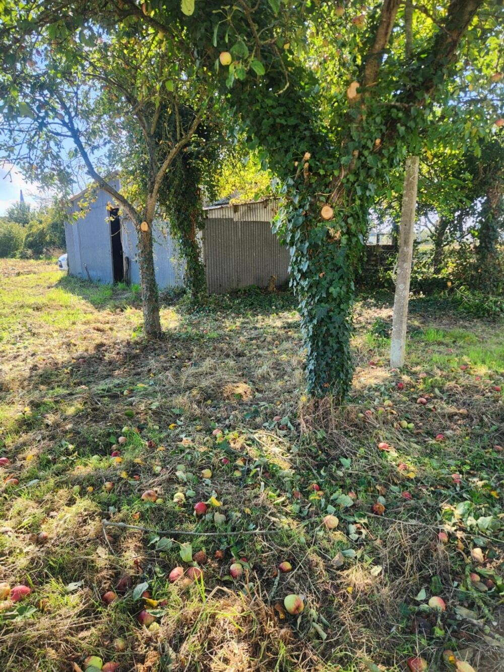 Vente Terrain Terrain constructible TREBEDAN 1300m² Trebedan