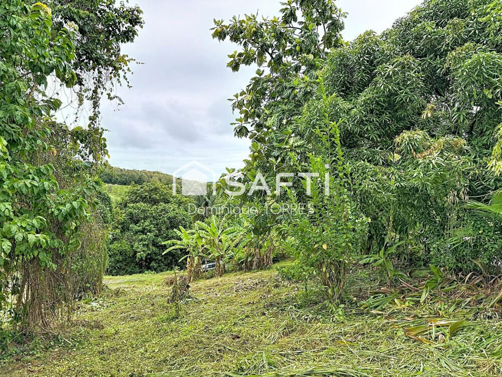 Vente Terrain TRINITE : Beau Terrain de 1075 m²  Vue dégagée La trinite