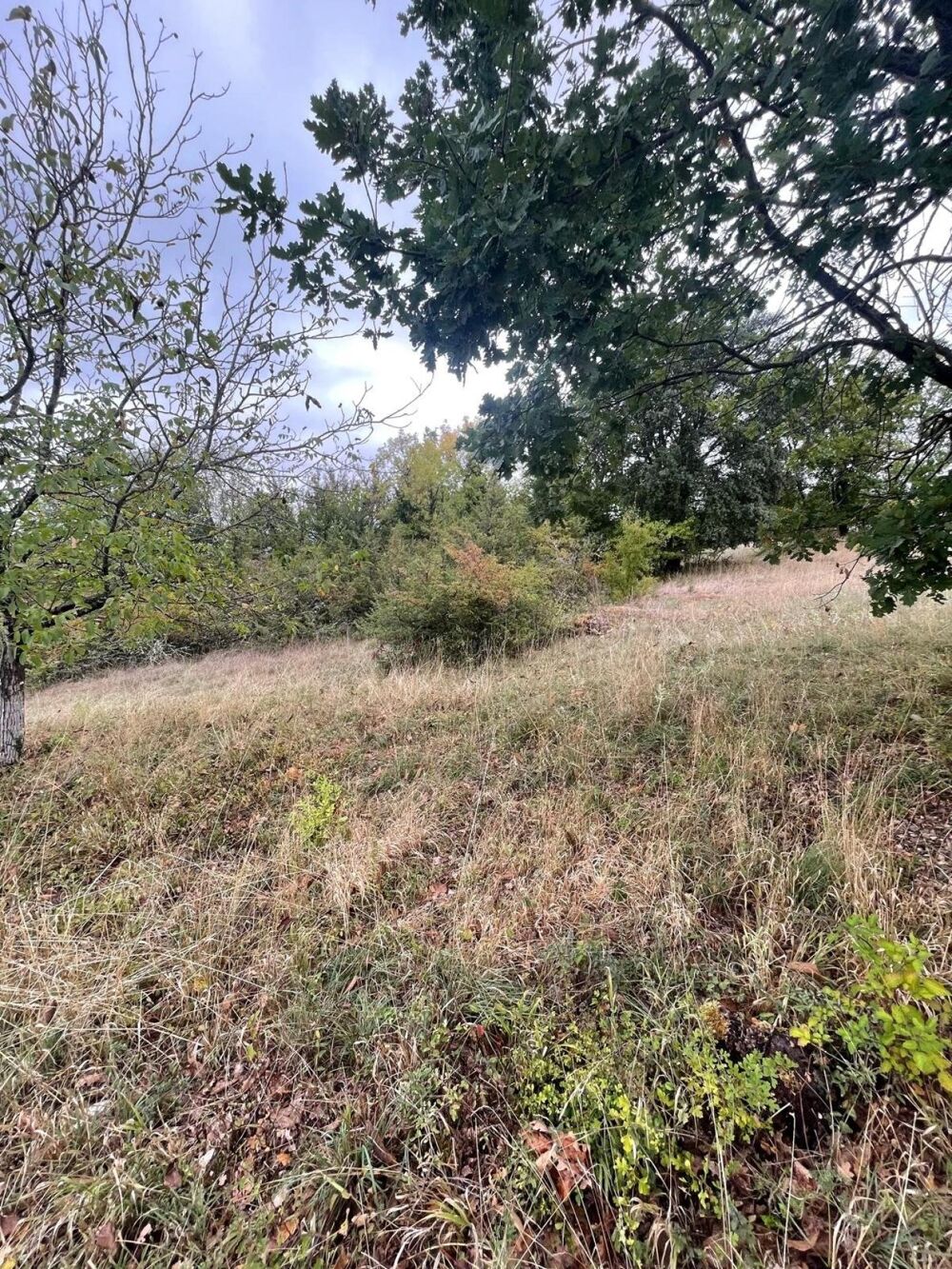 Vente Terrain BEAU TERRAIN PLAT CONSTRUCTIBLE Cieurac
