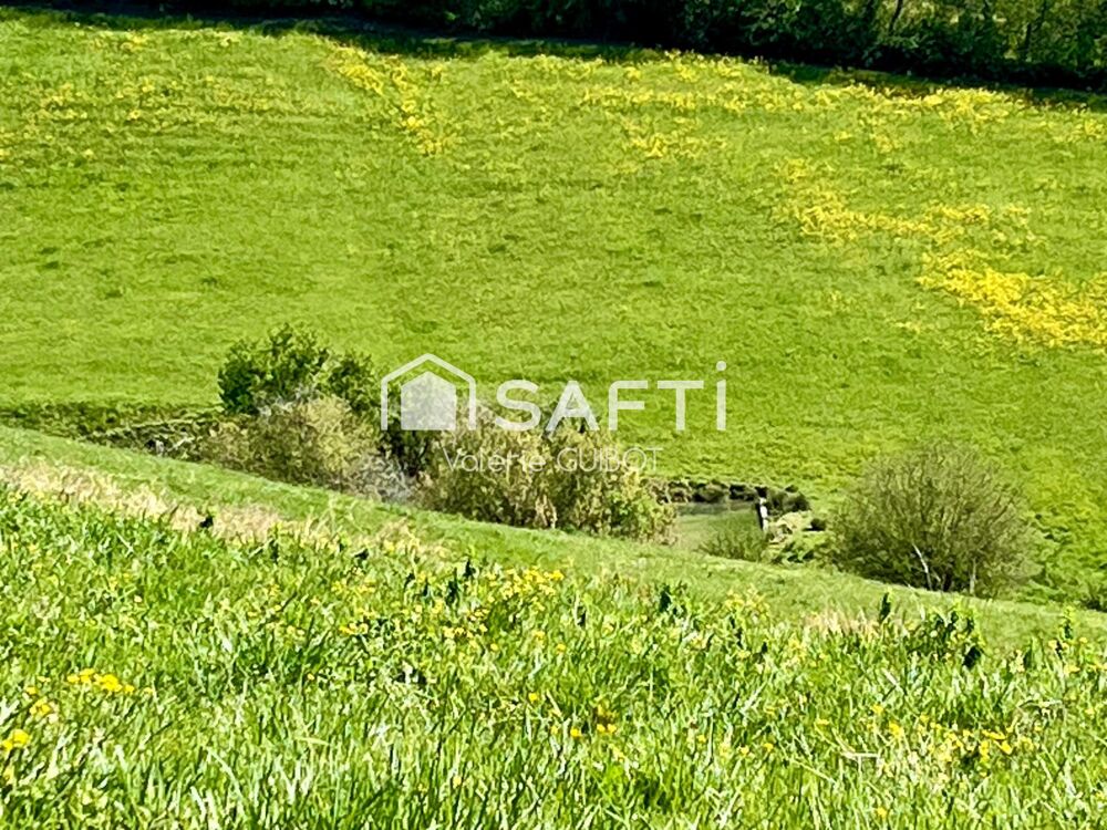Vente Terrain Magnifique domaine agricole de 21ha ha au calme absolu Saint-christaud