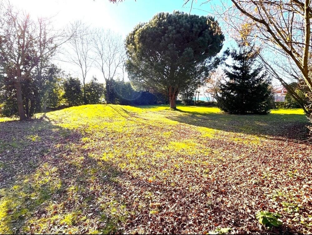Vente Terrain Zone UB Saint-mathurin