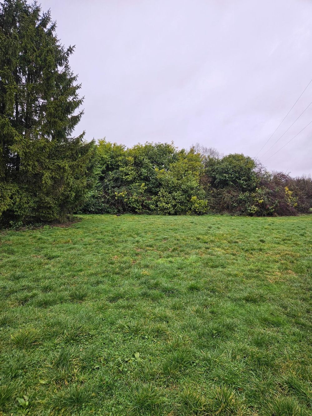 Vente Terrain terrain à bâtir sans PLU Varaize