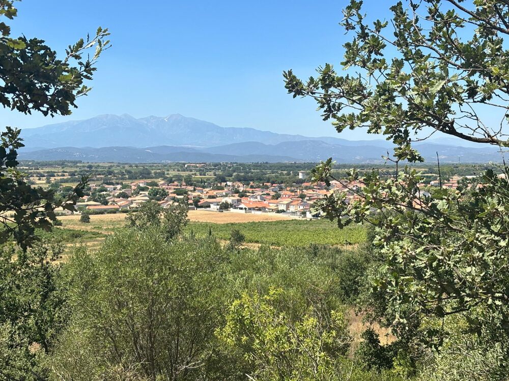 Vente Terrain Terrain avec superbe environnement Brouilla