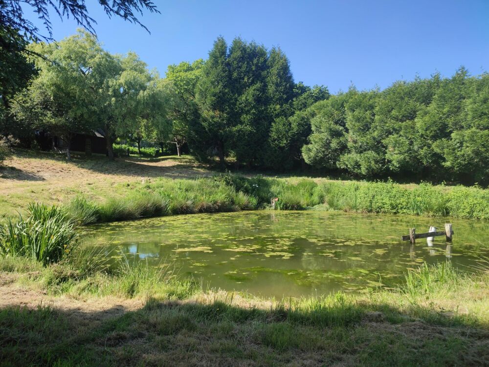 Vente Terrain Terrain de loisirs avec son plan d'eau Sainte-gemmes-le-robert