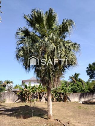  Maison � vendre 4 pi�ces 176 m�