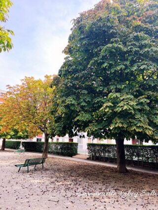  Appartement � vendre 3 pi�ces 78 m�