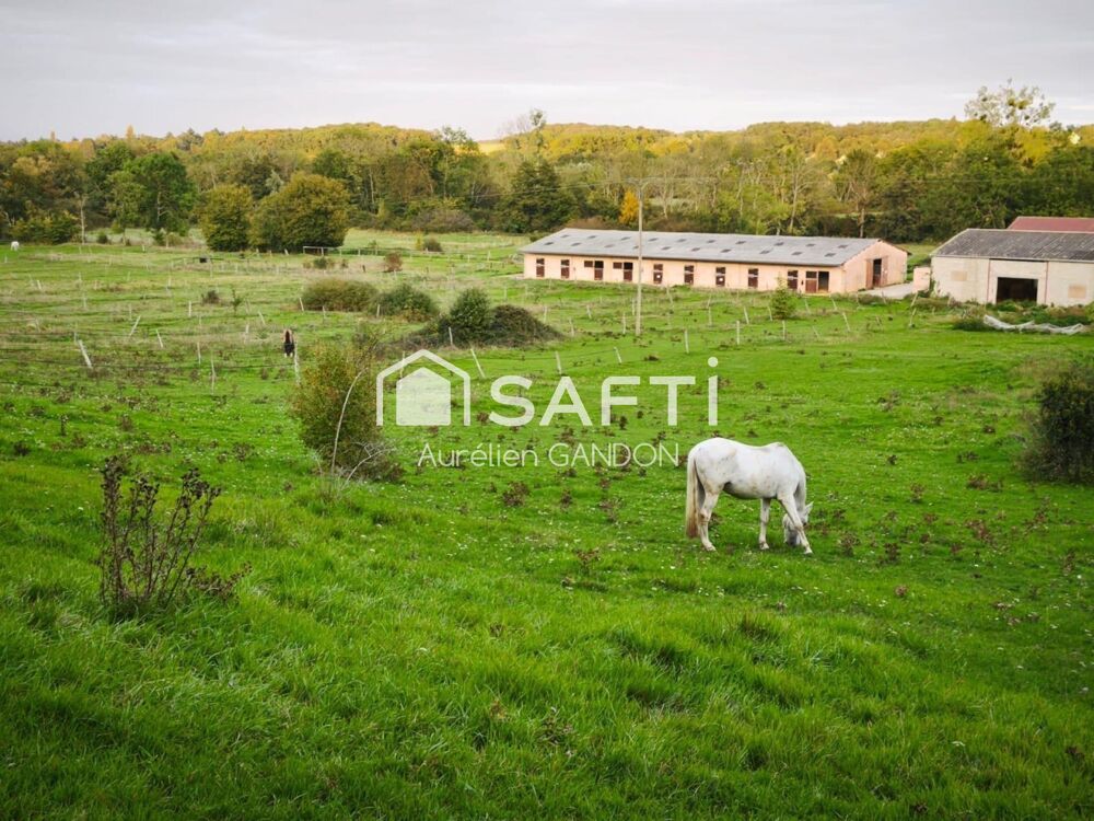 Vente Maison Maison avec 25HA de terrain et 40 box à chevaux Saint-denis-sur-ouanne