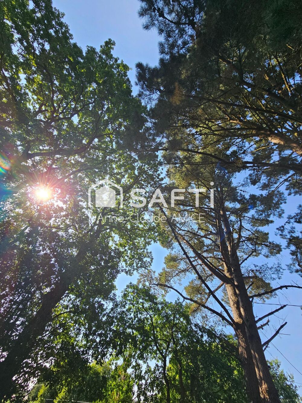 Montauban 35 Jolie propriété pres de la forêt