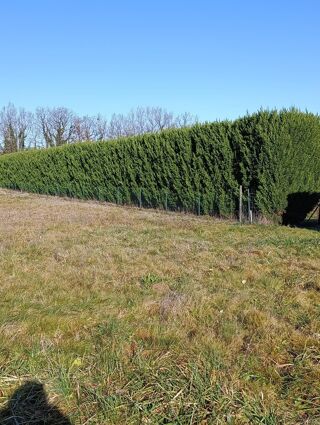  Terrain à vendre 1677 m²