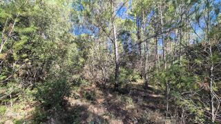 Vente Terrain Terrain Boisé 7200 m² Le cannet-des-maures