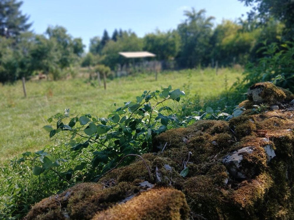 Vente Terrain Terrain agricole au calme 400m² Montecheroux