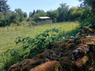Vente Terrain Terrain agricole au calme 400m² Montecheroux