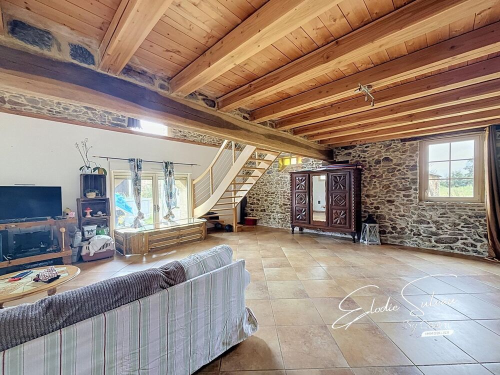 Vente Maison 6min Le Lion d'Angers Maison ancienne 209m2 Le lion-d'angers