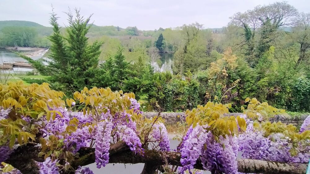 Maison de village vendue en viager occupé