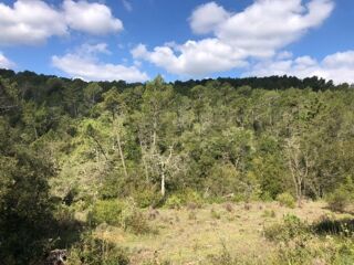  Terrain à vendre 5900 m²