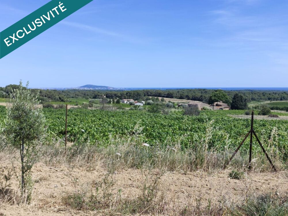 Vente Terrain 6 200 m² de paradis, oliveraie vue sur Sète ! Montagnac