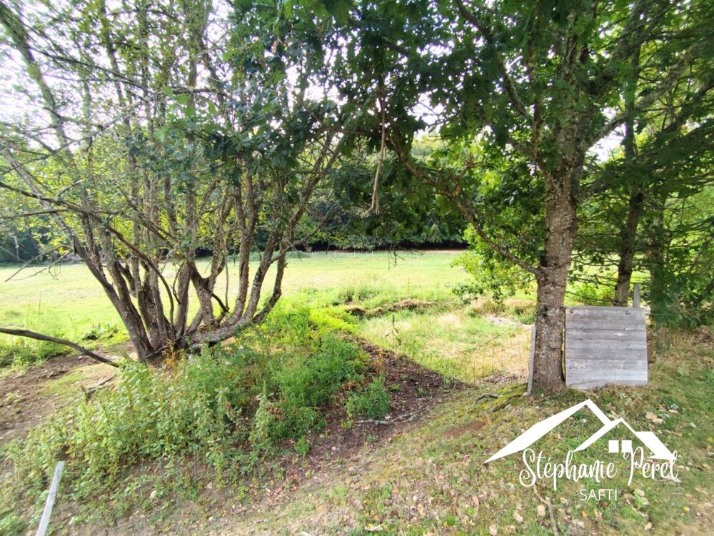 Vente Maison Maison de plain-pied 127 m² – 3 chambres + bureau – Terrain 9 066 m² Meymac