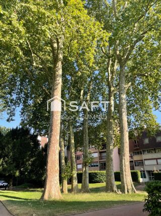  Appartement à vendre 1 pièce 25 m²