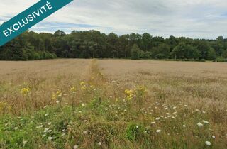  Terrain � vendre 689 m� Sion-les-mines