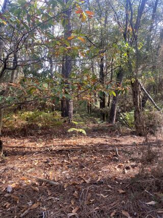  Terrain  vendre 2890 m