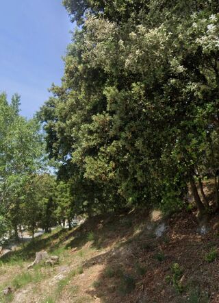  Terrain � vendre 1246 m�